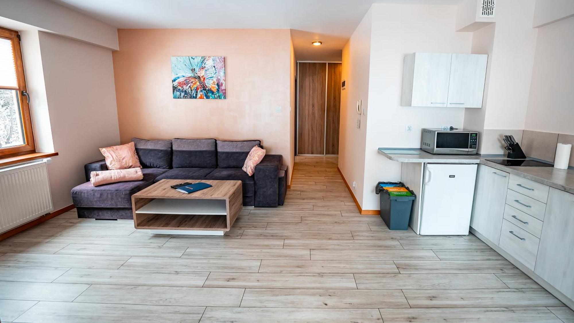 Apartament Sun&snow Zielona Krynica-Zdrój