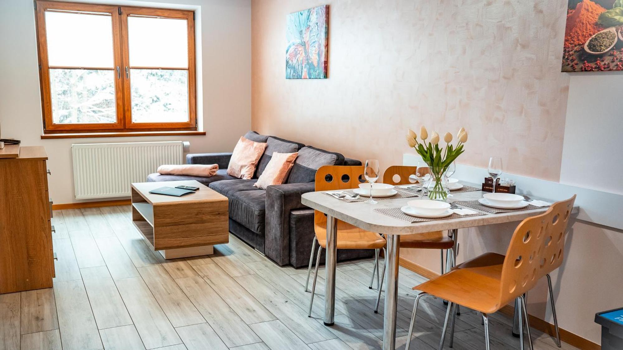 Apartament Sun&snow Zielona Krynica-Zdrój